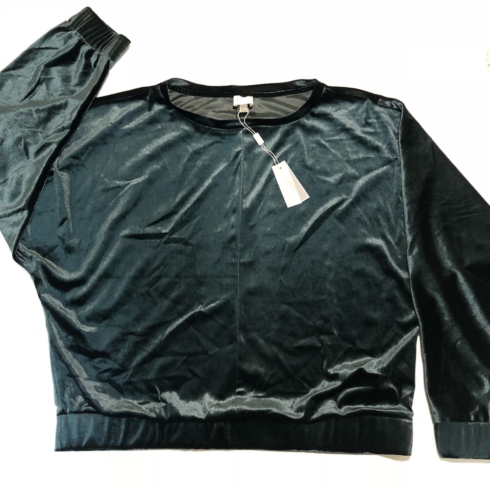 Cupio forest green velvet top